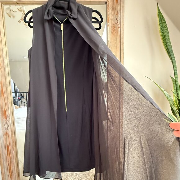 Mock Neck Chiffon Trapeze Dress - Picture 4 of 11